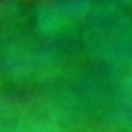 Bokeh-539